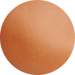 Camila Everyday Tote Caramel - Image 7